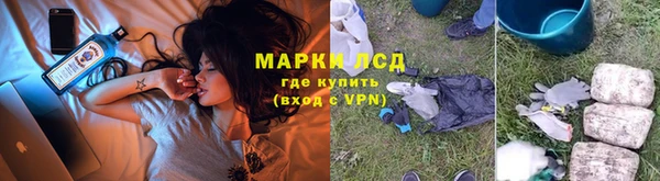 spice Лагань