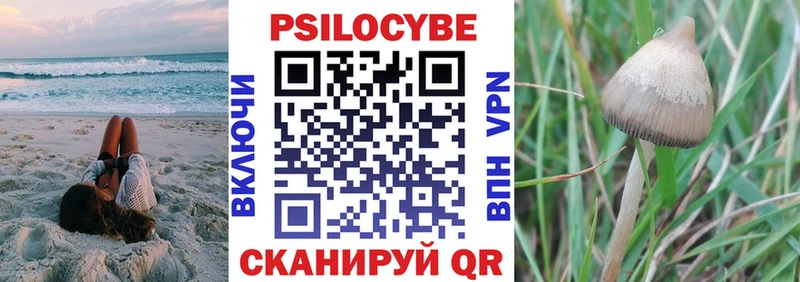 купить наркотик  Порхов  Псилоцибиновые грибы Magic Shrooms 